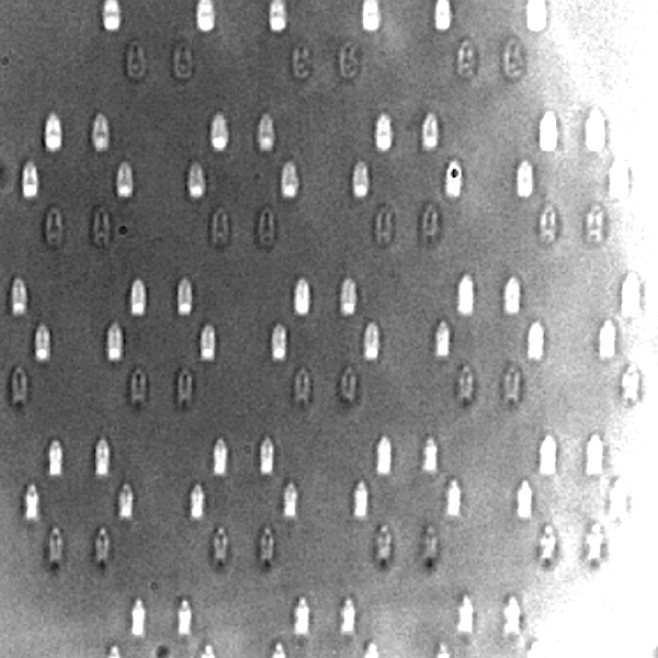 Image for the paper "Topological protection of quantum state structure"